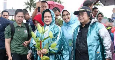 Iriana Jokowi Cetuskan Gerakan Tanam Mangrove, Ternyata Ini Manfaatnya