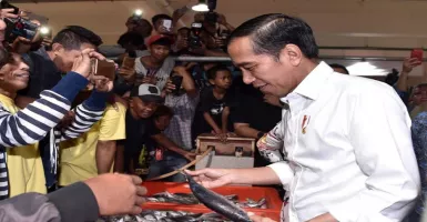 Pasar Ikan Modern Muara Baru, Jokowi: Berharap Bisa Menjadi Tempat Wisata