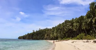 Mengintip Asal Mula Di Balik Cantiknya Pulau Wawonii Sulawesi Tenggara
