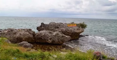 Ini Pesona Pantai Tanjung Kodok yang Dilihat Ma'ruf Amin Saat Menginap di Lamongan