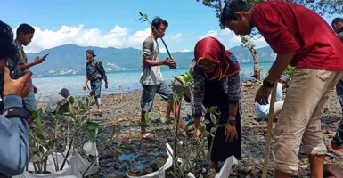 Peringati Hari Bumi, 2.000 Bibit Mangrove Ditanam Di Palu