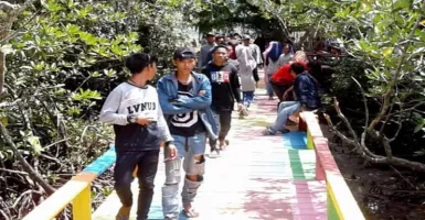 Keren! Ada Jembatan Bentuk Hati di Objek Wisata Mangrove Mamuju