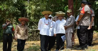 Calon Ibu Kota Baru, Presiden Jokowi Tinjau Kabupaten Gunung Mas
