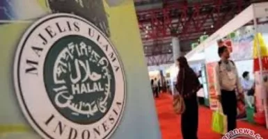 Ini Alasan Umat Muslim Wajib Pakai Produk Halal