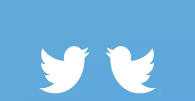 Twitter Bukan Lowongan Jadi Admin Akun