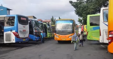 Ada 236 Bus untuk Pemudik di Bali