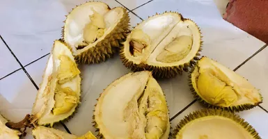 Sumatera Utara Lagi Musim Durian, Harganya Cuma Rp 5.000/Buah