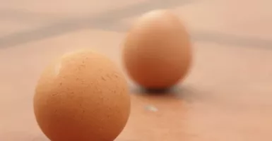 Fenomena Telur Berdiri saat Perayaan Peh Cun