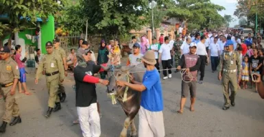 Larung Kepala Kerbau Tandai Lebaran Ketupat di Jepara