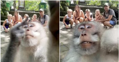 Viral, Seekor Monyet Selfie Mengacungkan Jari Tengah