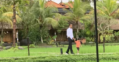 Bareng Jokowi Jalan di Pematang Sawah Bali, Jan Ethes Bahagia