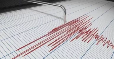 Gempa Terkini: Gempa M 7,4 di Maluku Terasa Sampai Australia