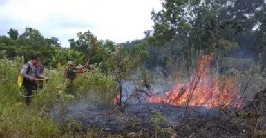 Musim Kemarau, 141 Hektare Kawasan Hutan Gunung Rinjani Terbakar