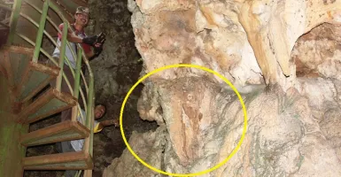 Batu Mirip Kepala Gajah Bikin Heboh Purworejo, Fosil Mammoth?