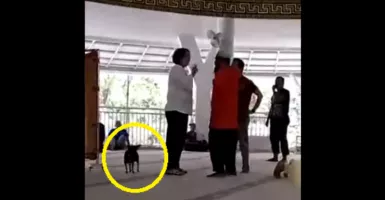Video Viral, Ibu Ini Lepaskan Anjing di Dalam Masjid Sambil Marah