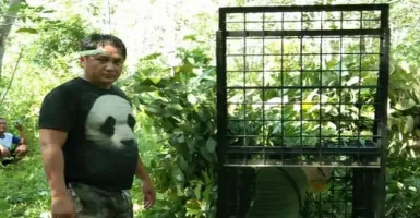 BBKSDA Riau Pasang Perangkap untuk Beruang yang Serang Petani