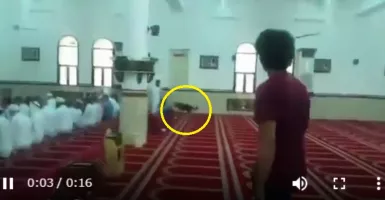 Anjing Masuk Masjid Terjadi di Arab, Reaksi Jamaah Mengejutkan!