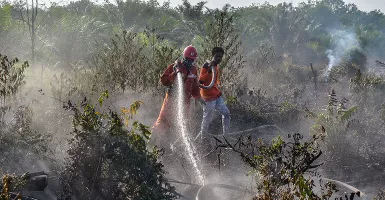 Karhutla 'Menahun', Kebakaran Landa 2 Hektar Lahan di Kampar Riau