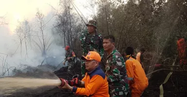Kebakaran Hutan Melahap 20 Hektare Lahan di PALI Sumsel