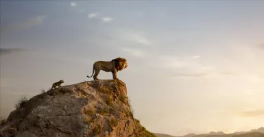 Tayang Hari Ini, The Lion King Hadirkan Teknik Live Action