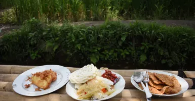 Warung Kopi Klotok Jogja: Sensasi Makan Sambil melihat Pemandangan Sawah