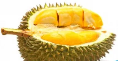 Ingin Makan Durian Tanpa Pusing akan Baunya, Ini Caranya!