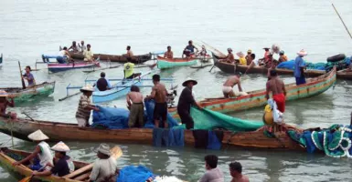 Asyiknya Melihat Atraksi Nelayan Menangkap Nike di Teluk Gorontalo