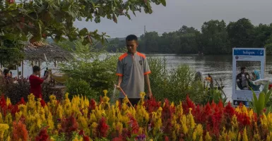 Ke Taman Bunga Impian Yuk! Destinasi Wisata Bertabur Bunga dan Spot Instagramable di Pekanbaru