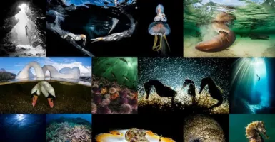 Gelar Underwater Photo Competition, Kemenpar Gandeng Sea Safari Cruises
