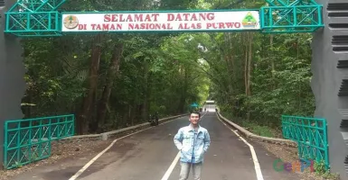 Jalan Mulus, Jumlah Kunjungan Turis ke Taman Nasional Alas Purwo Makin Kilap