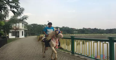 Serunya Berkuda Keliling Tandon Ciater