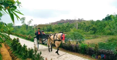 Sensasi Berkuda di Desa Wisata Ekang