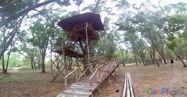 Wisata Rumah Pohon Kampung Raja Beri Suasana Baru di Bintan