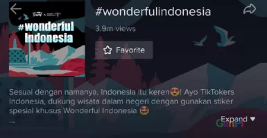 Wow, Ada Wonderful Indonesia di TikTok