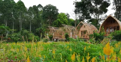 Yuk Menyusuri Destinasi Wisata Sepanjang Palembang-Pagar Alam