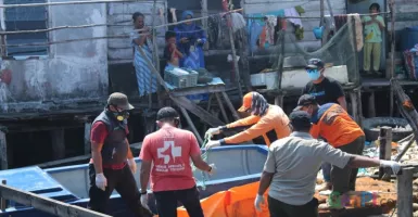 Temukan Bangkai Dugong Terdampar, Lakukan Hal Ini