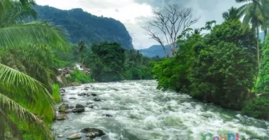Jeram-Jeram Top 3 Dunia di Sungai Asahan, Toba Samosir