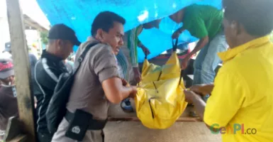 Lagi, Harimau Serang Orang Hingga Tewas  di Riau