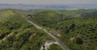 Truk Dilarang di Jalan Provinsi Riau H-3 Hingga H+3 Lebaran