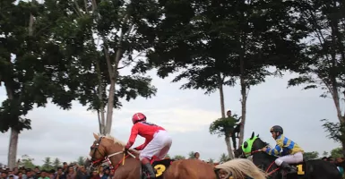 Riuhnya Balap Kuda, Roda Sapi dan Gerobak Kuda Di Gorontalo