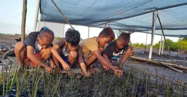 Mengintip Keceriaan Anak Suku Bajau Menanam Mangrove