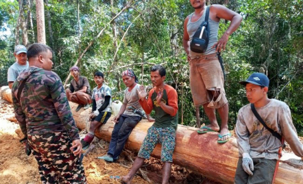 KLHK: Rimbawan Muda Diperlukan untuk Masa Depan Hutan Indonesia - GenPI.co