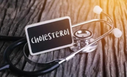Dokter Ingatkan Bahaya Kolesterol Usai Lebaran, Catat Solusinya! - GenPI.co
