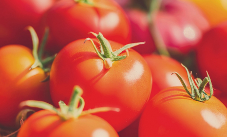 Manfaat Tomat untuk Wajah Ternyata Tak Bisa Disepelekan - GenPI.co