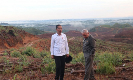 Soal Penyelesaian Proyek IKN, Pakar Sebut Jokowi Harus Berjuang - GenPI.co