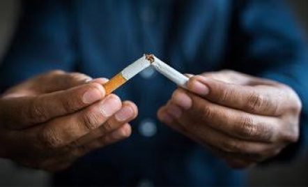 5 Jenis Makanan Efektif Kurangi Kecanduan Rokok, Patut Dicoba di 2023 - GenPI.co