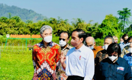 Menteri Siti: Target Rehabilitasi Mangrove 600 Ribu Hektare - GenPI.co