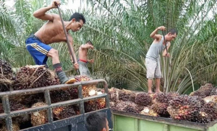 Kejagung Ngaku Geledah Kantor KLHK, Kasus Apa? - GenPI.co