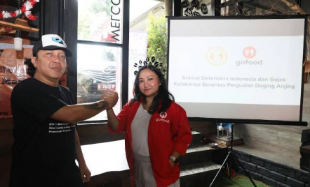 ADI Gandeng Gojek Berantas Penjualan Daging Anjing, Tegas! - GenPI.co