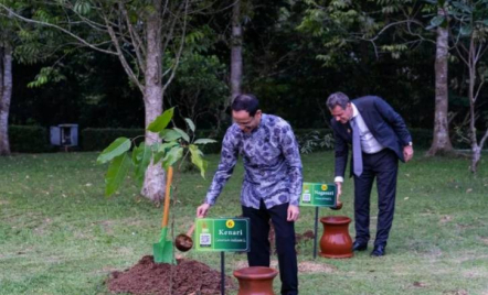 5 Jenis Benih Pohon Ditanam Delegasi G20 di Pelataran Borobudur - GenPI.co